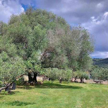 Olbia Grazioso Bilo In Periferia Vila Sole Ruiu Exterior foto