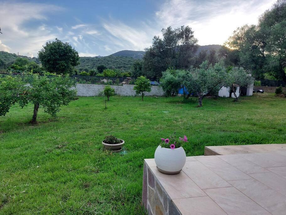Olbia Grazioso Bilo In Periferia Vila Sole Ruiu Exterior foto