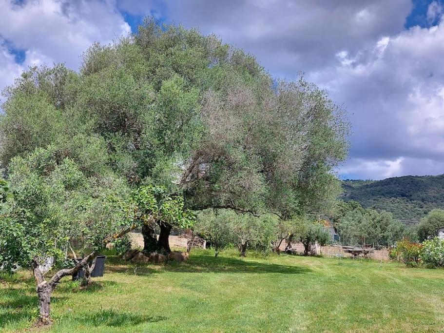 Olbia Grazioso Bilo In Periferia Vila Sole Ruiu Exterior foto